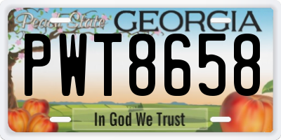 GA license plate PWT8658