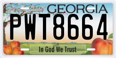 GA license plate PWT8664
