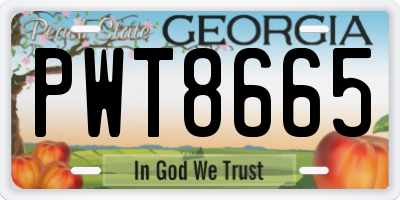 GA license plate PWT8665