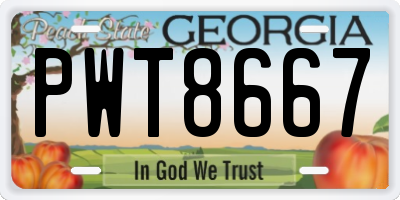GA license plate PWT8667