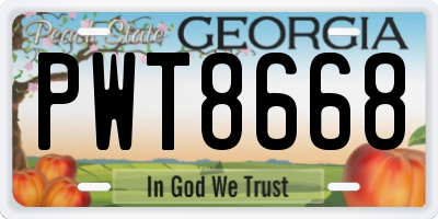 GA license plate PWT8668