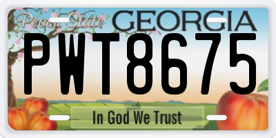 GA license plate PWT8675