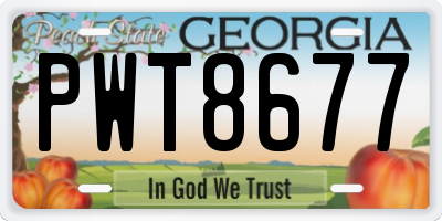 GA license plate PWT8677