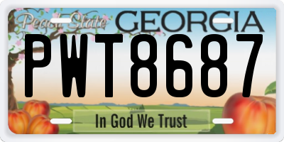 GA license plate PWT8687