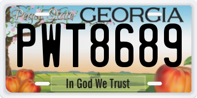 GA license plate PWT8689