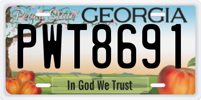 GA license plate PWT8691