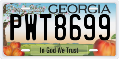 GA license plate PWT8699
