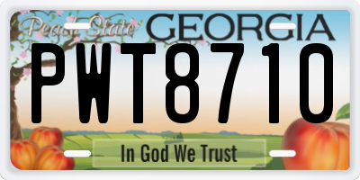 GA license plate PWT8710