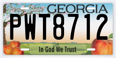GA license plate PWT8712