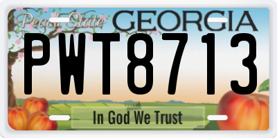 GA license plate PWT8713