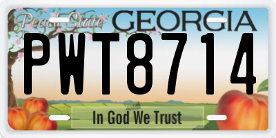 GA license plate PWT8714