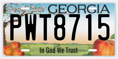 GA license plate PWT8715