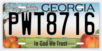 GA license plate PWT8716