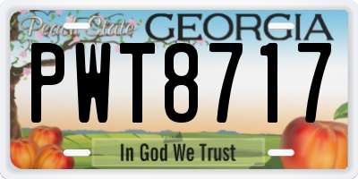 GA license plate PWT8717