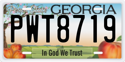 GA license plate PWT8719