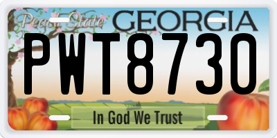 GA license plate PWT8730