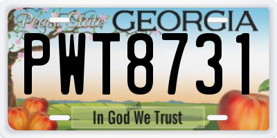 GA license plate PWT8731