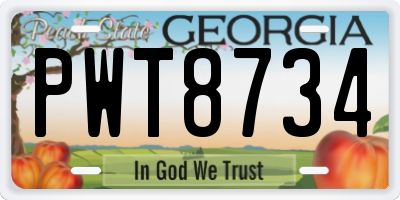 GA license plate PWT8734
