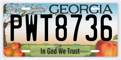 GA license plate PWT8736