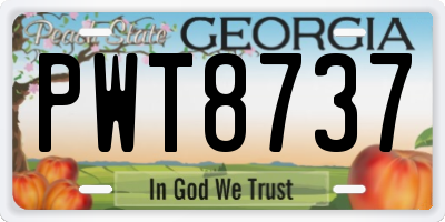 GA license plate PWT8737