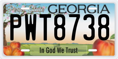 GA license plate PWT8738