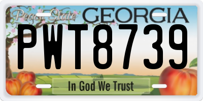 GA license plate PWT8739