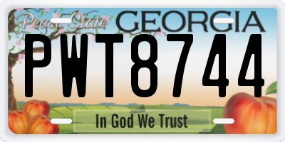 GA license plate PWT8744