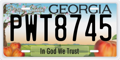 GA license plate PWT8745