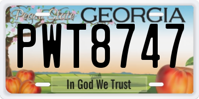 GA license plate PWT8747