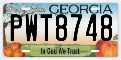 GA license plate PWT8748