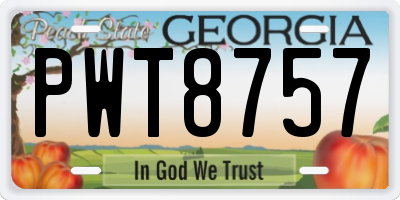 GA license plate PWT8757