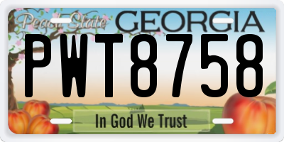 GA license plate PWT8758