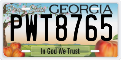 GA license plate PWT8765