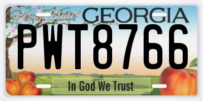 GA license plate PWT8766