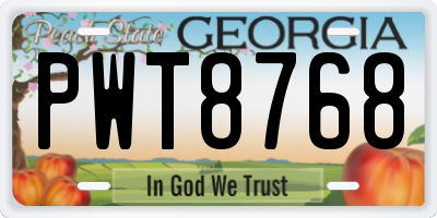 GA license plate PWT8768