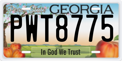 GA license plate PWT8775