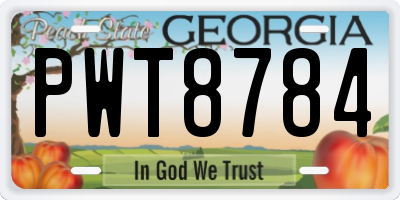 GA license plate PWT8784