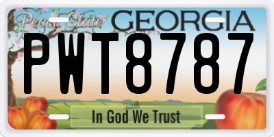 GA license plate PWT8787