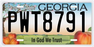 GA license plate PWT8791