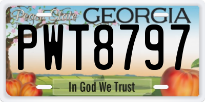 GA license plate PWT8797