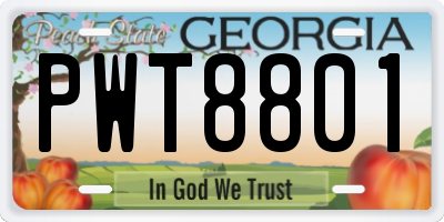 GA license plate PWT8801