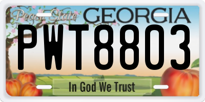 GA license plate PWT8803