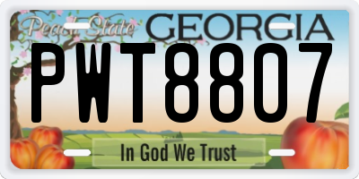 GA license plate PWT8807
