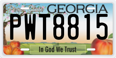 GA license plate PWT8815