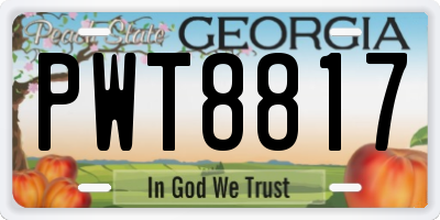 GA license plate PWT8817