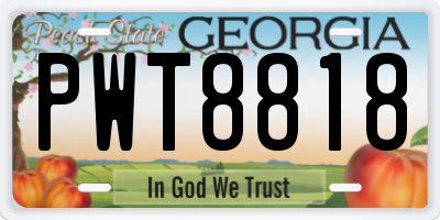 GA license plate PWT8818