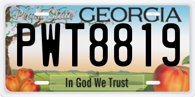 GA license plate PWT8819