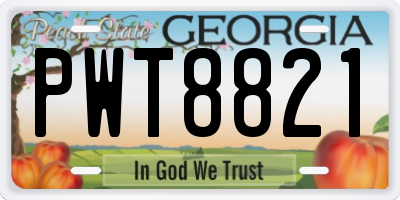 GA license plate PWT8821