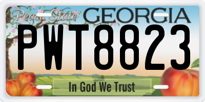 GA license plate PWT8823