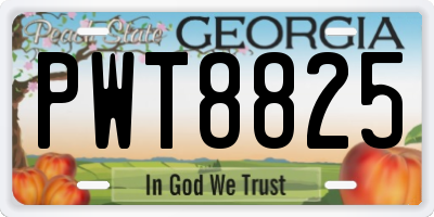 GA license plate PWT8825